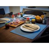 APS - Set van 6 - Placemat - Lichtblauw - Hittebestendig, Waterafstotend, Anti-Slip, Afwasbaar, 33 x 45 cm