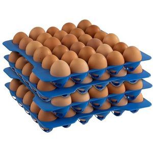APS 10 lagen in de eierdoos, opslag voor eieren, elke laag heeft 30 eieren, 28,5 x 28,5 cm, 6,5 cm hoog