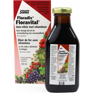 Salus Floradix floravital 250 Milliliter