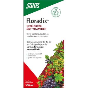 Salus Floradix IJzer-elixir - Mineralen - 500 ml