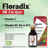 Salus Floradix IJzer-elixir - Mineralen - Bij vermoeidheid - Met ijzer en vitamine B12 - 250 ml