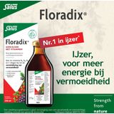 Salus Floradix IJzer-elixir - Voedingssupplement met IJzer en Vitamine B12 - 250 ml