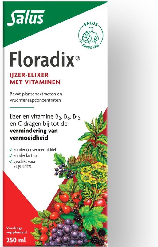 Salus Floradix IJzer-elixir - Voedingssupplement met IJzer en Vitamine B12 - 250 ml