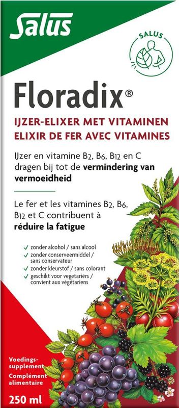 Floradix - Ijzer Elixer - Vloeibaar - 250 ml