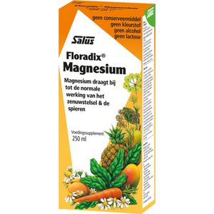 Salus Floradix magnesium 250 Milliliter