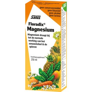 Salus Floradix Magnesium – Voor energie en spieren – Vloeibare magnesiummix van planten- en vruchtensappen – 250 ml