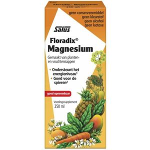 Salus Floradix Magnesium – Voor energie en spieren – Vloeibare magnesiummix van planten- en vruchtensappen – 250 ml