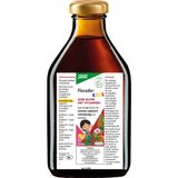 Floradix IJzer-Elixer Kids - Met Vitaminen C, B2 en B12 - IJzer voedingssupplement - Vegan - 250ml