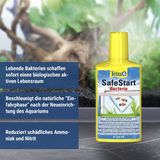 Tetra Safe Start - 250 ml - NL-BIO-01
