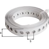 Alberts - Gaatjesband - Witte Kunststof Coating - Breedte 12 mm - Lengte 1,5 m