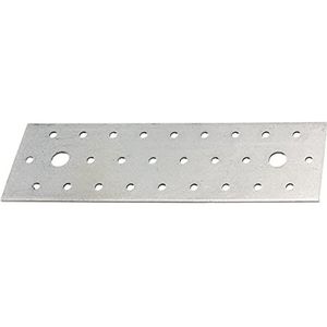 Alberts 341961 Geperforeerde plaat | sendzimir verzinkt | 200 x 60 x 2 mm