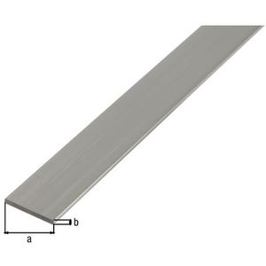 Alberts Ba-profiel Vlak Aluminium Natuur 50x3mm 2m
