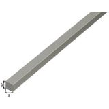 Alberts - Massief Vierkant Profiel - Geanodiseerd - 1000 mm x 10 mm x 10 mm