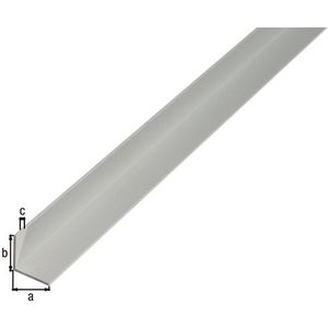Alberts Hoekprofiel Aluminium Natuur 40x40x2mm 1m