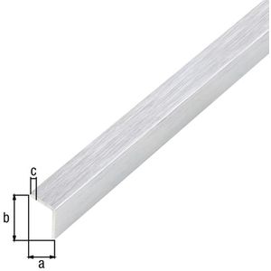 Alberts Hoekprofiel Zelfklevend Aluminium Rvs 25x25x1mm 2m