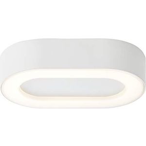 Brilliant Buitenplafondlamp 20x12cm wit G96403/05