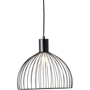 Brilliant Blacky