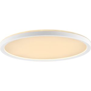 Brilliant Lumaro Led-plafondopbouwpaneel, ronde plafondlamp met