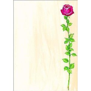 SIGEL Motivpapier Rose Bloom Motiv DIN A4 90 g/qm 25 Blatt