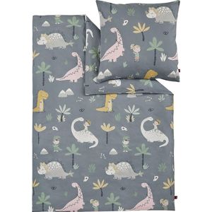 Kinderbeddengoed Dino 135x200 cm - 100% katoen, praktische ritssluiting & machinewasbaar, beddengoed voor kinderen, 2-delige dinosaurussen grijs