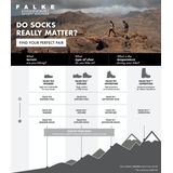 Falke - TK1 - Thermische Sokken - Grijs - Merinowol