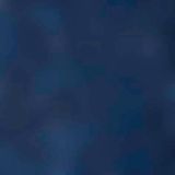 FALKE - Walkie Ergo - Functionele Sokken - Blauw - Unisex