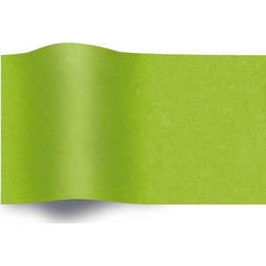 Vloeipapier gekleurd 50x70cm lime groen