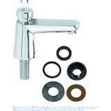 GROHE Euro Cosmopolitan T Wastafelkraan - Zelfsluitend - Chroom