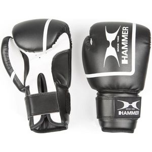 Hammer Boxing Bokshandschoenen Fit II - kunstleer 8 oz
