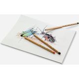 Pastellstift Pitt Pastell scharlachrot