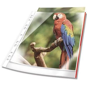 Duurzame brochurehoes, met rode rand, DIN A4, universele perforatie, documentbestendig, 25 stuks, 80 mµ, glashelder