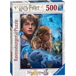 Legpuzzel - Harry Potter - 500 Stukken - 49 x 36 cm - Karton