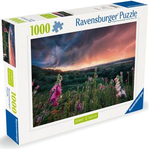 Ravensburger puzzel Nadchodzi burza 1000 stukjes