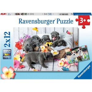 Ravensburger puzzel Schattige haarbolletje - Twee puzzels - 12 stukjes - kinderpuzzel
