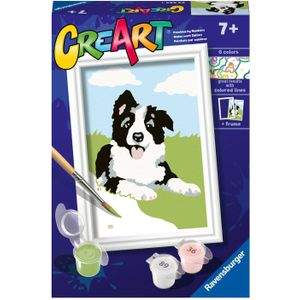 CreArt Schilderen op Nummer - Border Collie