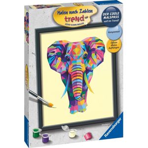 Ravensburger Schilderen Op Nummer Bonte Olifant - Hobbypakket