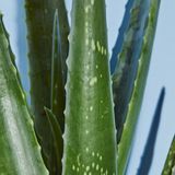 NIVEA - Sun After Sun Hydrate Spray - 200 ml - Hydraterende Kalmerende Spray