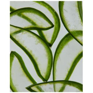 NIVEA - Sun After Sun Hydrate Spray - 200 ml - Hydraterende Kalmerende Spray