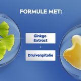 NIVEA Sun Touch Body Lotion - Egaal Gebruinde teint - Hydraterende Lotion - Ginkgo biloba en druivenpitolie - Bruinen zonder Zon - 400 ml