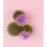 Nivea - Naturally Good - Nachtcrème - 50ml - Bio Burdock en Arganolie