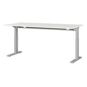 Schreibtisch Profi 2.0, rechteckig, C-Fuß, B 1600 x T 800 x H 700-810 mm, lichtgrau/silber