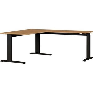 Germania - Bureau - 193 cm - Bruin