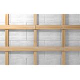 fischer - Hammerfix NS - Pluggen - Nylon - Verzinkte Nagelschroef