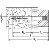Fischer 50346 Nagelplug/Slagplug NS met Verzonken Kop - 10 X 100mm (50st)