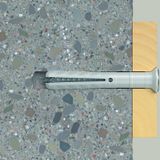 Fischer - Nagelplug N 6 x 60/30 S - RVS A2 - 50 stuk(s)