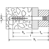 Fischer - Nagelplug N - Grijs - Kunststof - (Per 50 stuks)