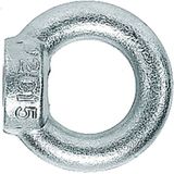 Moeren - Ringmoer RI - Metrisch Binnen Schroefdraad - Geschikt voor Pluggen