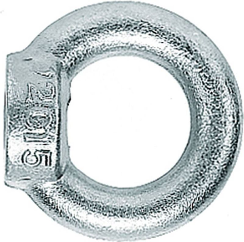 Moeren - Ringmoer RI - Metrisch Binnen Schroefdraad - Geschikt voor Pluggen