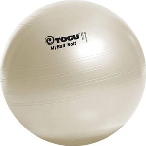 Ergonomisch zitkussen met uitsparing | Memoryfoam - De Welzijnwinkel's shop