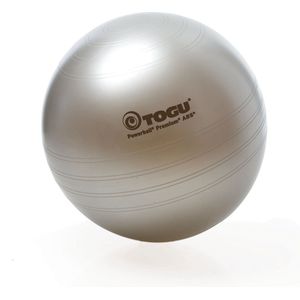 TOGU Powerball Premium ABS - 55 cm - zilver